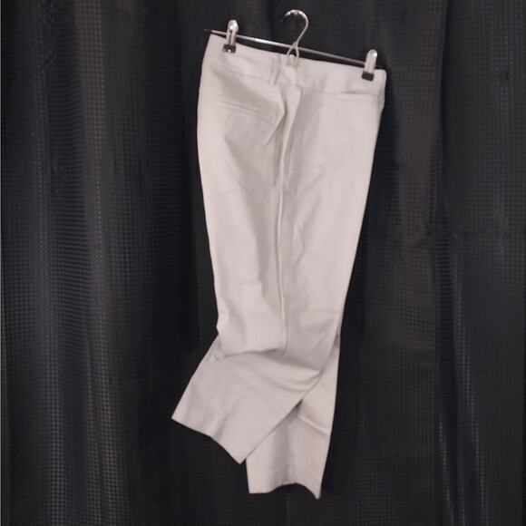 ANN TAYLOR FACTORY! PALEST GRAY CROPPED, RELAXED NOTCHED ANKLE PANTS! SZ 10P - Picture 2 of 10